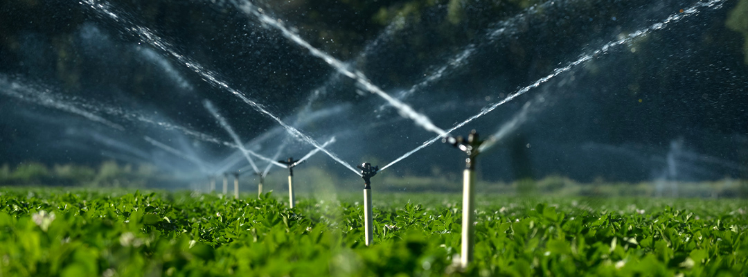 Financing Irrigation